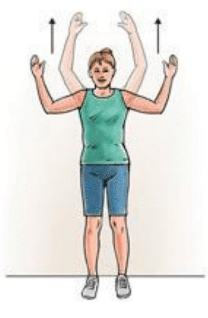 Arm Slide on Wall Exercise Image