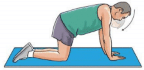 Neck Extension on Hands and Knees Exercise Image