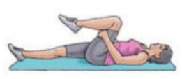Single Knee to Chest Stretch Exercise Image
