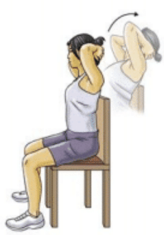 Thoracic Extension Exercise Image